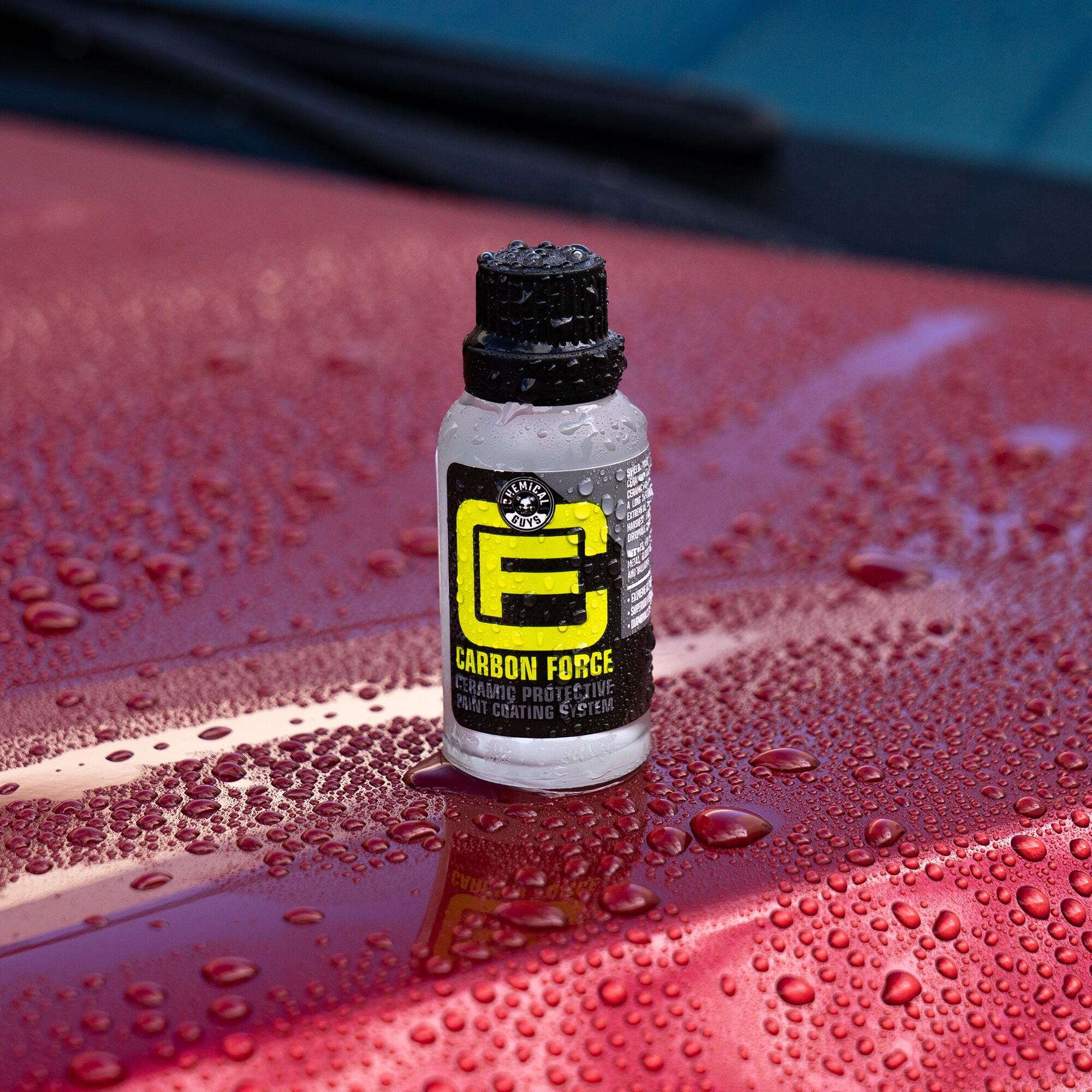 Carbon Force Ceramic Protective Paint Coating System - Image 2